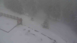 Přístup na běžeckou trať