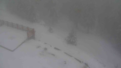 Přístup na běžeckou trať