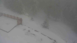 Přístup na běžeckou trať