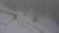 Přístup na běžeckou trať