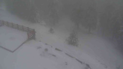 Přístup na běžeckou trať