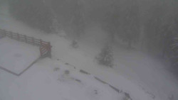 Přístup na běžeckou trať