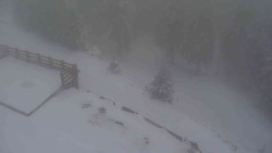 Přístup na běžeckou trať