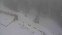 Přístup na běžeckou trať