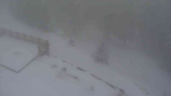 Přístup na běžeckou trať