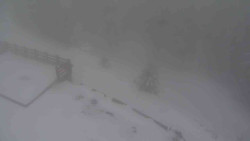 Přístup na běžeckou trať