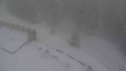 Přístup na běžeckou trať