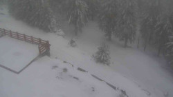 Přístup na běžeckou trať