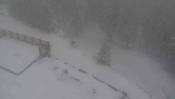 Přístup na běžeckou trať