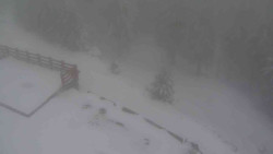 Přístup na běžeckou trať