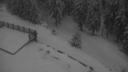 Přístup na běžeckou trať