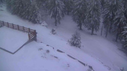 Přístup na běžeckou trať