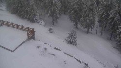 Přístup na běžeckou trať