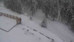 Přístup na běžeckou trať