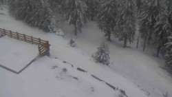 Přístup na běžeckou trať