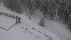 Přístup na běžeckou trať