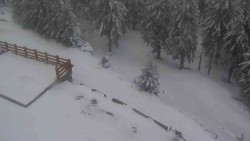 Přístup na běžeckou trať