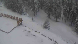 Přístup na běžeckou trať