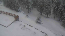 Přístup na běžeckou trať