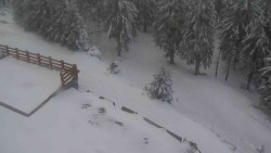 Přístup na běžeckou trať