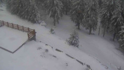 Přístup na běžeckou trať