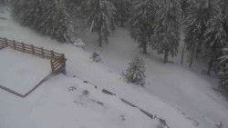 Přístup na běžeckou trať