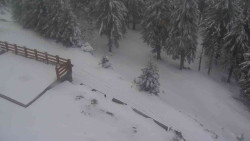 Přístup na běžeckou trať