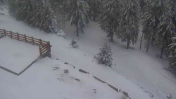 Přístup na běžeckou trať