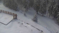 Přístup na běžeckou trať