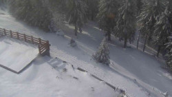 Přístup na běžeckou trať