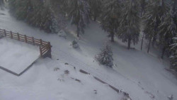 Přístup na běžeckou trať