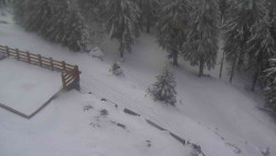 Přístup na běžeckou trať