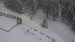 Přístup na běžeckou trať