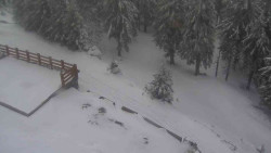 Přístup na běžeckou trať