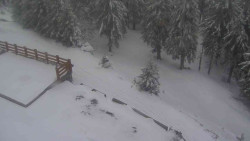 Přístup na běžeckou trať