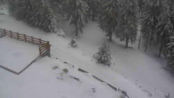 Přístup na běžeckou trať