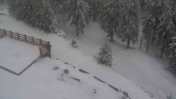 Přístup na běžeckou trať