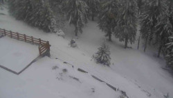 Přístup na běžeckou trať