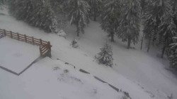 Přístup na běžeckou trať