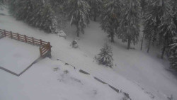 Přístup na běžeckou trať