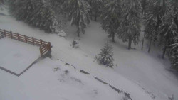 Přístup na běžeckou trať