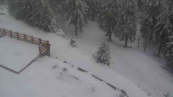 Přístup na běžeckou trať