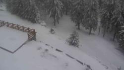 Přístup na běžeckou trať