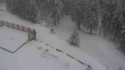 Přístup na běžeckou trať