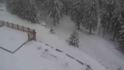 Přístup na běžeckou trať