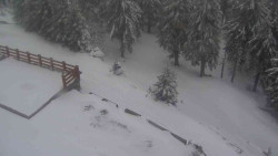 Přístup na běžeckou trať