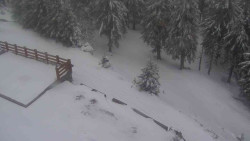 Přístup na běžeckou trať