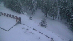 Přístup na běžeckou trať