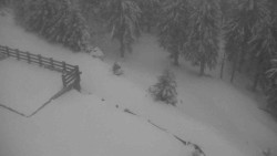 Přístup na běžeckou trať