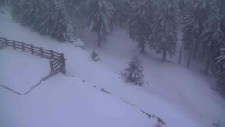 Přístup na běžeckou trať